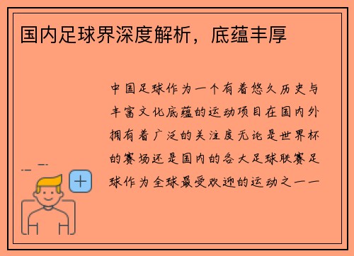 国内足球界深度解析,底蕴丰厚