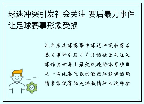 球迷冲突引发社会关注 赛后暴力事件让足球赛事形象受损