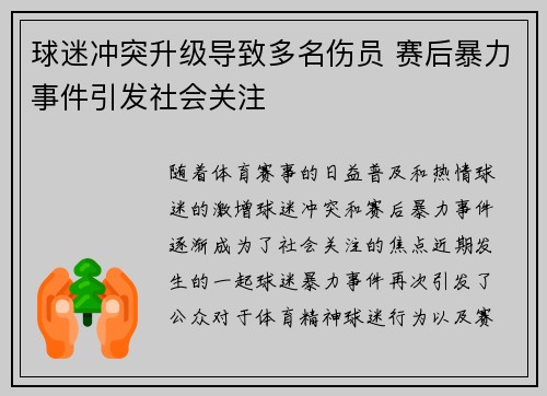 球迷冲突升级导致多名伤员 赛后暴力事件引发社会关注